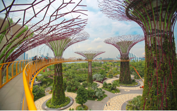 Singapore Gardens by the Bay & Marina Bay Experience – Singapore